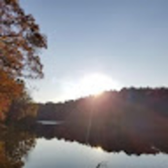 Meet your Posher, Mrs. - Picture 1 of 1